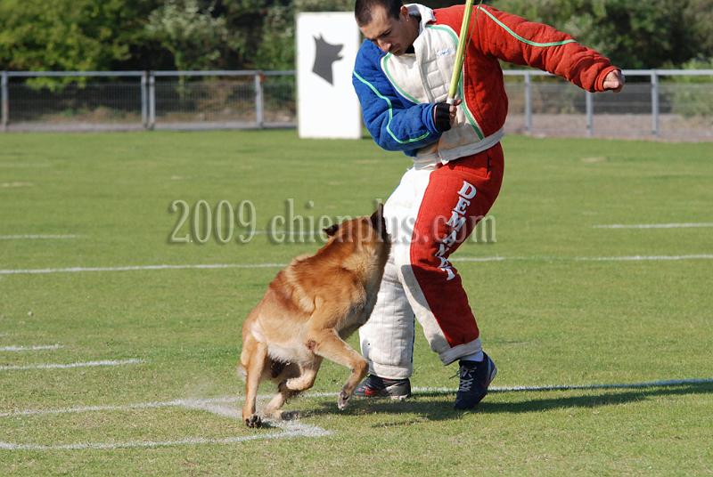 3 EME SELECTIF 2009 GRANDE SYNTHE 312.jpg